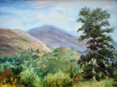 View From Mission Trails Visitor Center